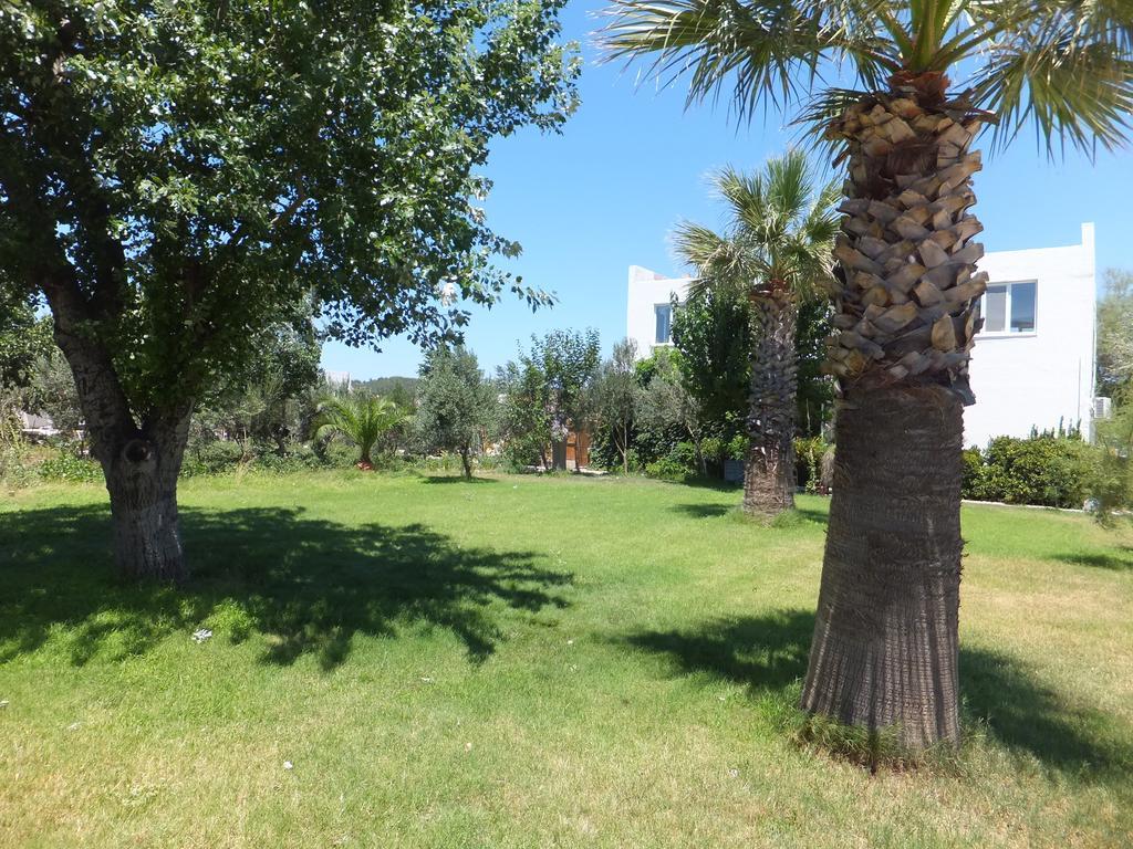 Aytas Hotel Ayvalı Exteriör bild