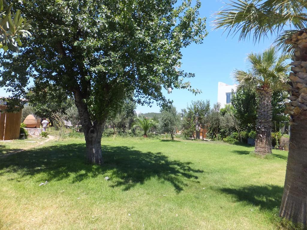 Aytas Hotel Ayvalı Exteriör bild