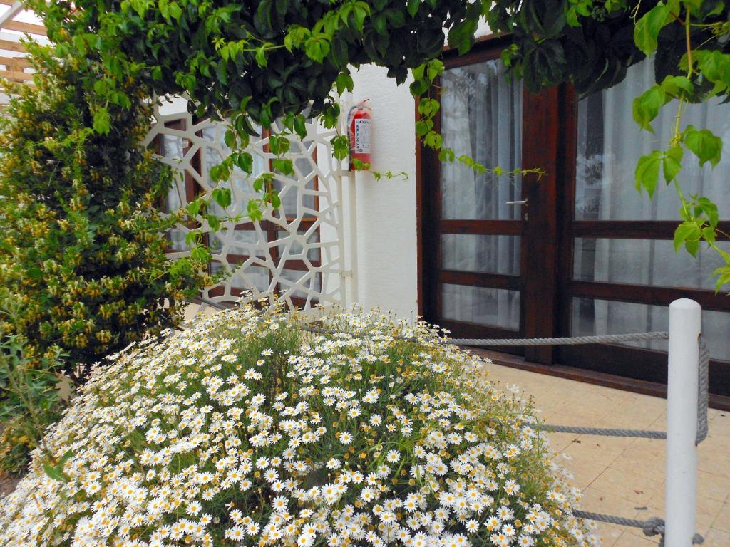 Aytas Hotel Ayvalı Exteriör bild