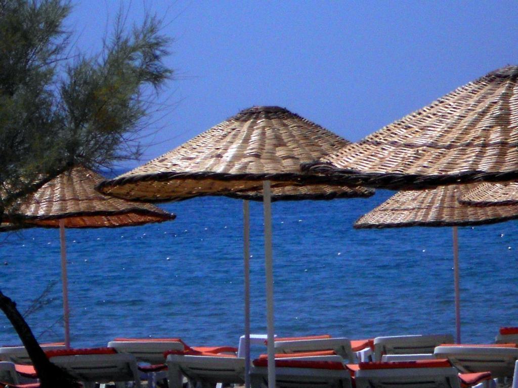 Aytas Hotel Ayvalı Exteriör bild